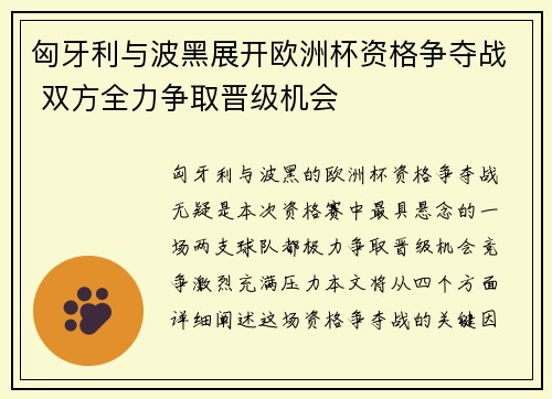 匈牙利与波黑展开欧洲杯资格争夺战 双方全力争取晋级机会